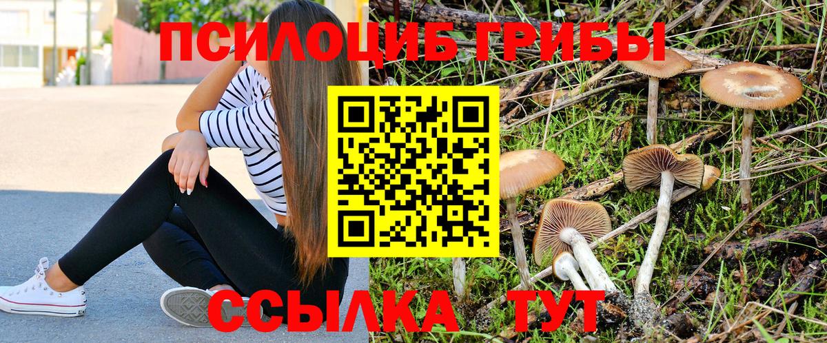 Галлюциногенные грибы GOLDEN TEACHER Гуково